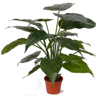 Kunstplant - Alocasia olifantenoor - 51 cm - Kunstplanten Groen