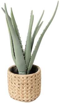 Kunstplant aloe vera - 33 cm