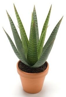 Kunstplant Aloe Vera - groen - in terracotta pot - 23 cm - Kunstplanten Bruin