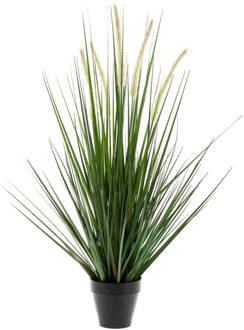 Kunstplant Alopecurus Grass 120cm Groen