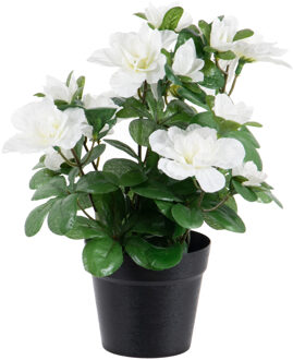 Kunstplant Azalea - in pot - wit - H25 cm - Kunstplanten