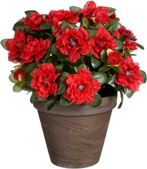 Kunstplant - Azalea - Rood - in pot - 31 cm