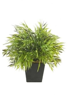 Kunstplant Bamboe Bambuseae - groen - 25 cm - in pot