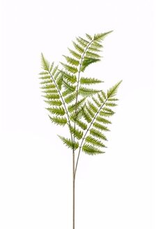 Kunstplant - Boomvaren - tak - 85 cm - groen - kunststof decoratie