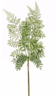 Kunstplant bosvaren tak - 58 cm - groen - kunststof decoratie