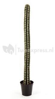 Kunstplant Cactus straight L