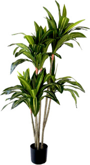 Kunstplant Dracaena Fragnans 150cm Groen