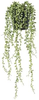 Kunstplant erwtenplantje in pot - groen/zwart - 53 cm