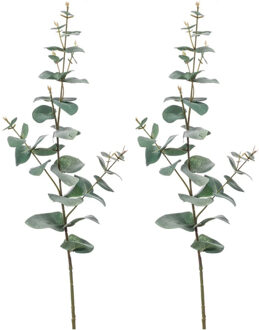 Kunstplant Eucalyptus - 2x - groen - takken - hangplant - 68 cm