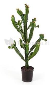 Kunstplant Euphorbia cactus XL