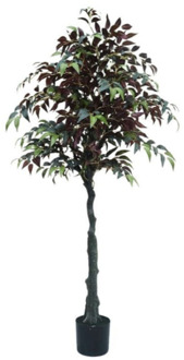 kunstplant Ficus - 150 cm Groen
