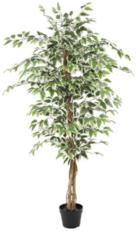 Kunstplant Ficus groen 160cm