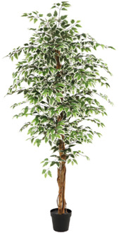 Kunstplant Ficus groen 180cm