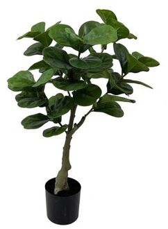 Kunstplant Ficus - Groen