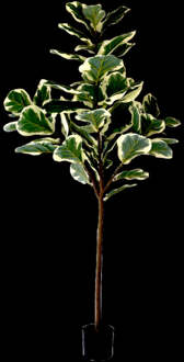 Kunstplant Ficus Lyrata Deluxe 160cm Groen