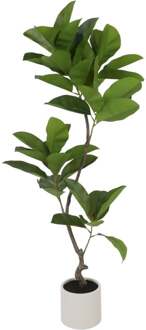 Kunstplant Ficus