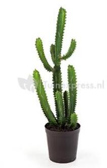 Kunstplant Finger cactus M