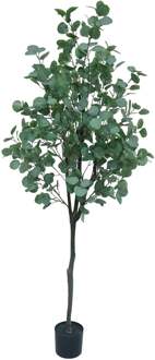 Kunstplant geldboom - 180 cm Groen