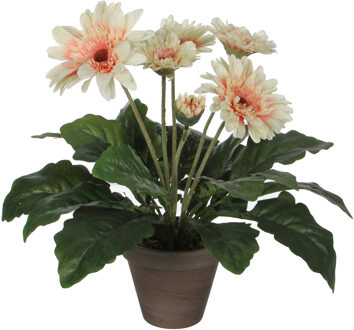 Kunstplant - gerbera - creme - in pot - 35 cm - Kunstplanten Crème