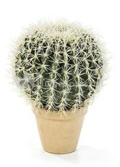 Kunstplant Golden barrel cactus XL