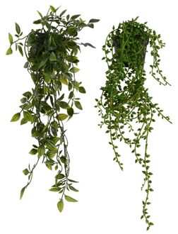 Kunstplant hangend in pot verschillende