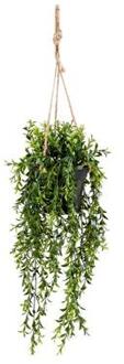 kunstplant/hangplant - Buxus - groen - 50 cm lang - Kunstplanten