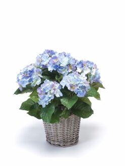 Kunstplant Hortensia bloemen in mand - H45 cm - Met bloemen - blauw - Kunstplanten