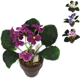 Kunstplant In Pot Kaaps Viooltje 16 Cm