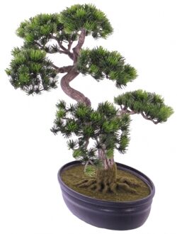 Kunstplant Japanse Den bonsai 40 cm - Kunstplanten Groen