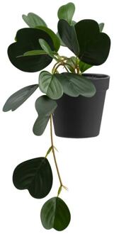Kunstplant Japonica In Pot - Groen - 22 Cm - Kunststof - Groen#Zwart