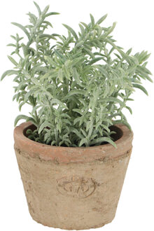 Kunstplant/kruiden tijm - in oude terracotta pot - 15 cm - kruiden