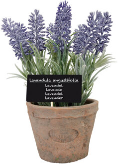 Kunstplant - lavendel - in terracotta pot - 23 cm - Kunstplanten Multikleur