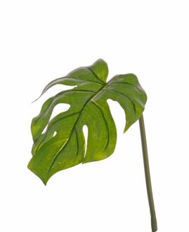 Kunstplant Monstera tak - bladgroen steel - 55 cm - gatenplant takken