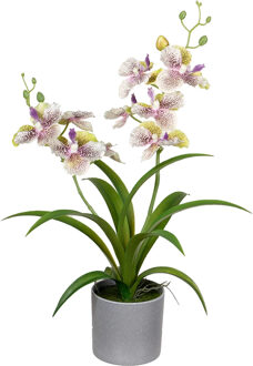 Kunstplant Orchidee - lila bloemen - in pot - 38 cm