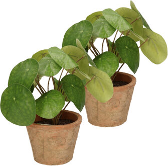 Kunstplant pilea/pannekoekplant - 2x - groen - in pot - 25 cm - Kunstplanten