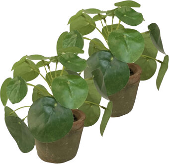 Kunstplant pilea/pannekoekplant - 2x - mini - groen - in pot - 13 cm