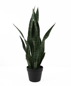 Kunstplant Sansevieria - Donkergroen