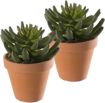 Kunstplant Sedum Rupestre - 2x - groen - in terracotta pot - 14 cm - Kunstplanten