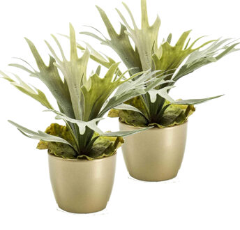 Kunstplant Staghorn varen - 2x - groen - in gouden pot - 38 cm
