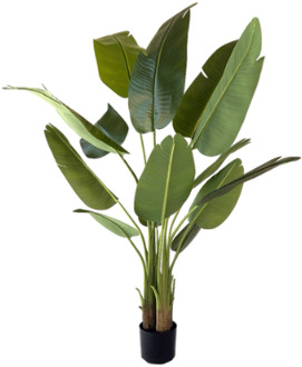 Kunstplant Strelitzia 150 cm met real touch Groen
