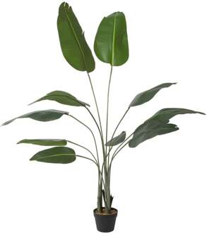 Kunstplant strelitzia - 160 cm