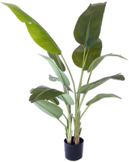 Kunstplant Strelitzia 180 cm real touch Groen