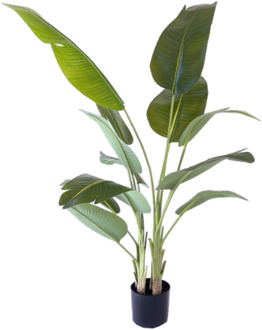 Kunstplant Strelitzia real touch - 200 cm Groen