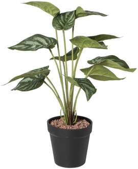 Kunstplant syngonium - 36 cm