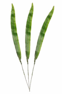 Kunstplant tak Gladioolblad bladgroen - 3x stuks - 40 cm - groene bladeren takken - voor in een boek