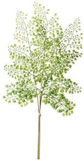 Kunstplant - takken - venushaar - 58 cm - groen - voor in een boeket
