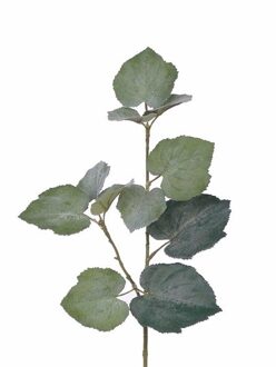 Kunstplant - Tilia - bladgroen - takken - 50 cm - groen - kunststof decoratie - Kunstbloemen