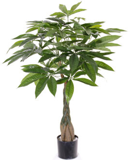 Kunstplant watercacao - groen - pachira boom - 90 cm - kantoor/huis