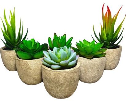 Kunstplanten - Vetplanten in Pot 6 stuks - Cadeautip Groen