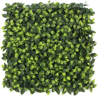 Kunstplantenwand FOLY Bay Laurel 1 m2